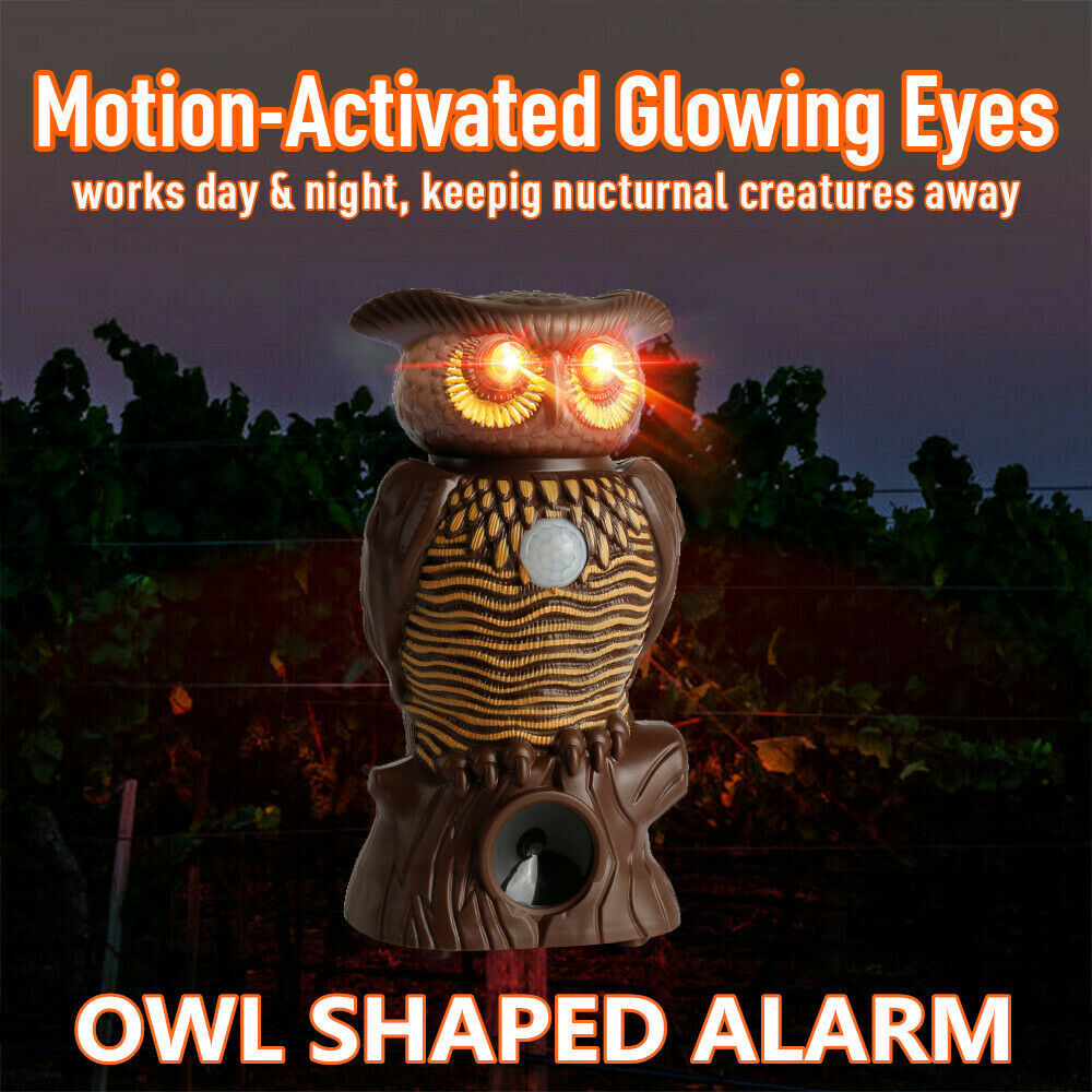 Owl repeller repeller owl siren