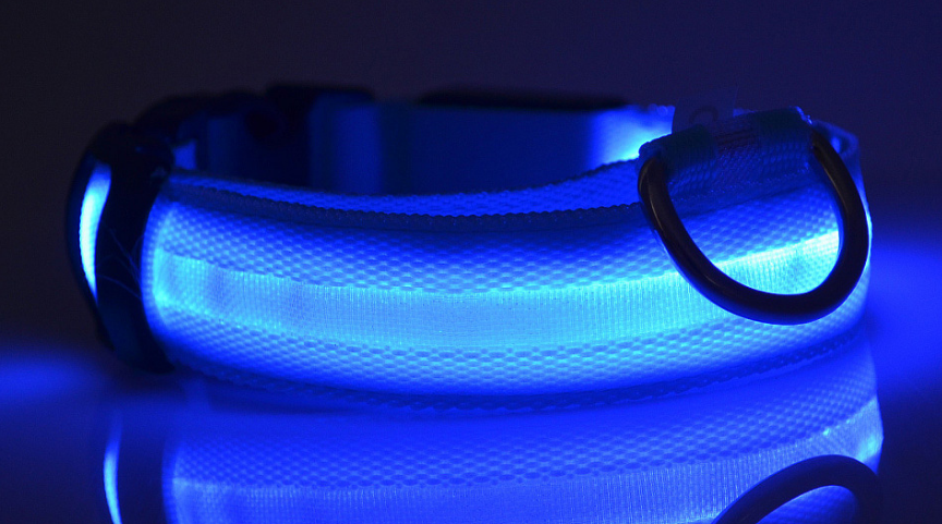Color: blue, Size: XL-battery, Model: - Nylon LED Pet Dog Luminous Collar Night Safety Flashing Glow in Dark Dog Cat Leash Adjustable Pet Supplies