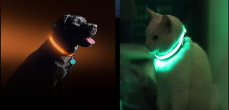 Enhancing Dog Safety: The Advantages of LED Dog Collars and the Disadvantages of Going Without