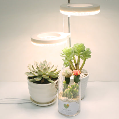 Color: Full spectrum, style: Doubleheaded sunlight - Home Office Desk Flower And Plant Growth Lamp