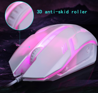 Wired Mouse Keyboard