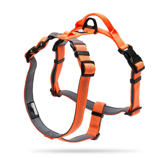 Color: Orange, Size: M - Dog leash vest type chest strap