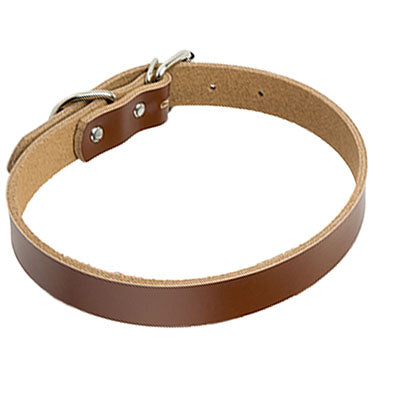 Color: Coffee, Size: XS - Leather dog collar dog chain