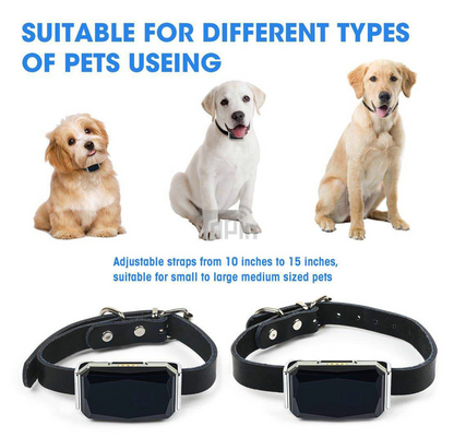 Pet Tracking Locator