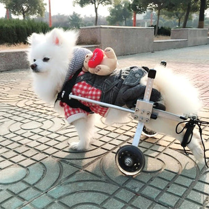 Color: Black, Size: M - Dog Wheelchair - Fully Adjustable