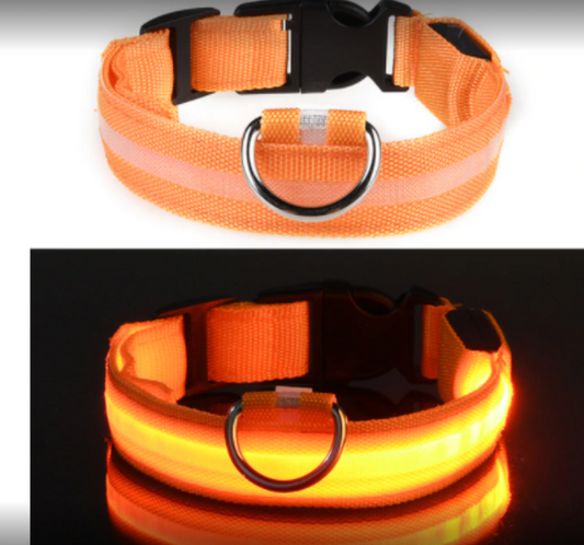 Color: Orange, Size: XS - Fiber Optic Waterproof Magnetic Charging Pet Collar